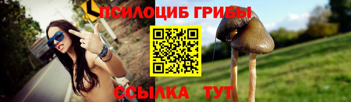 Псилоцибиновые грибы прущие грибы  Вход с VPN  Ленинск-Кузнецкий  Псилоцибиновые грибы Magic Shrooms 